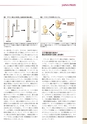 ニュースレター　No,47
